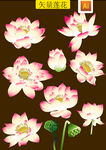 工笔画莲花
