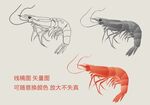 矢量虾