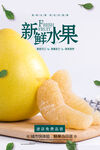柚子海报