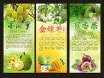 水果展架