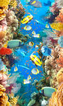 海底世界巨幅3D地画