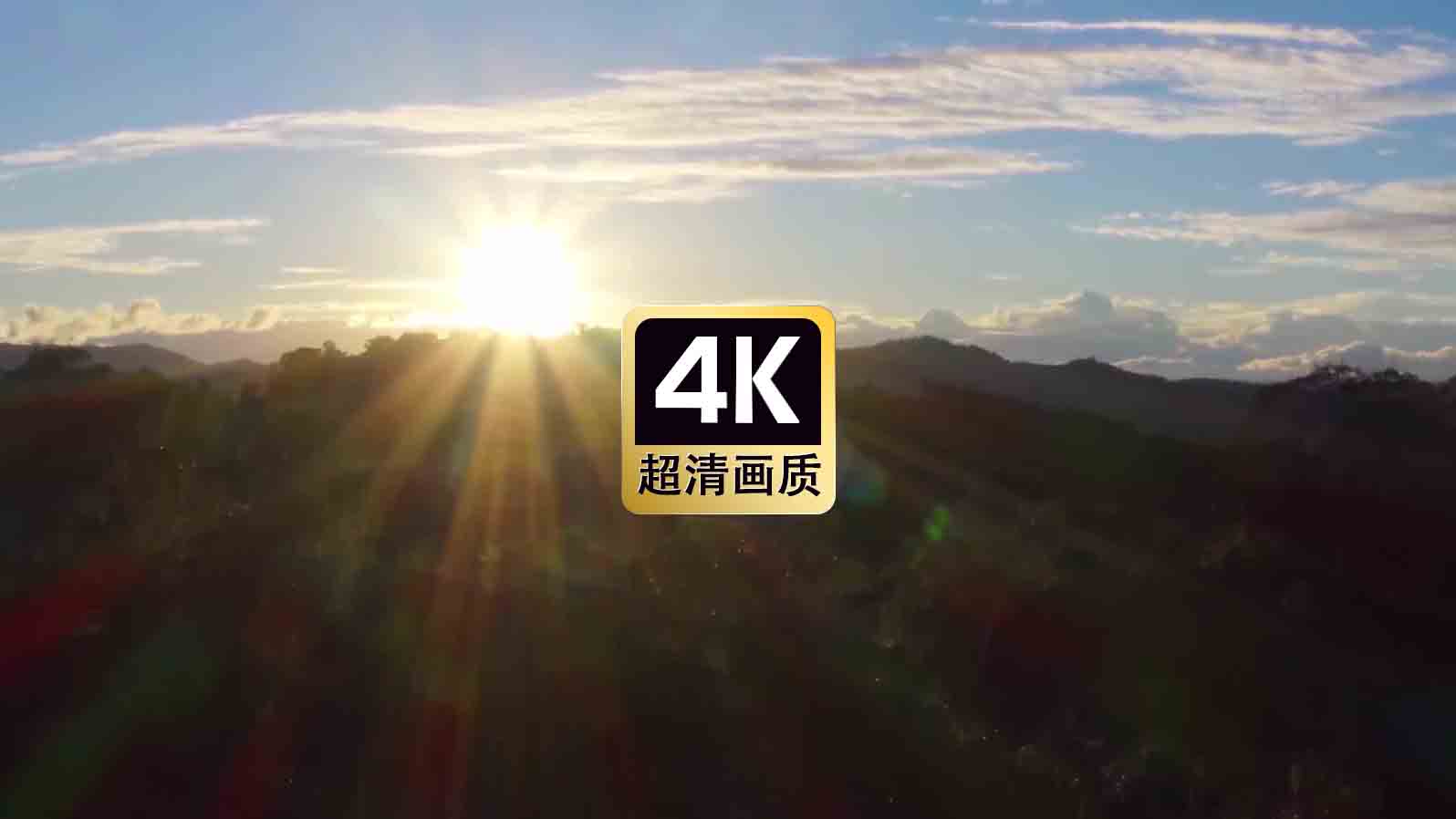 短视频素材航拍日光下的树林