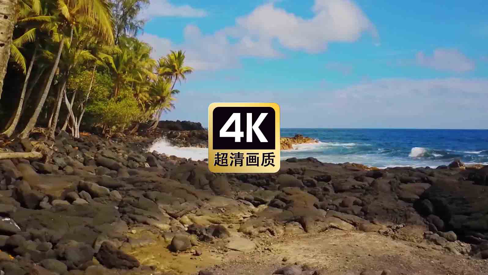 短视频素材热带海滩椰林海浪