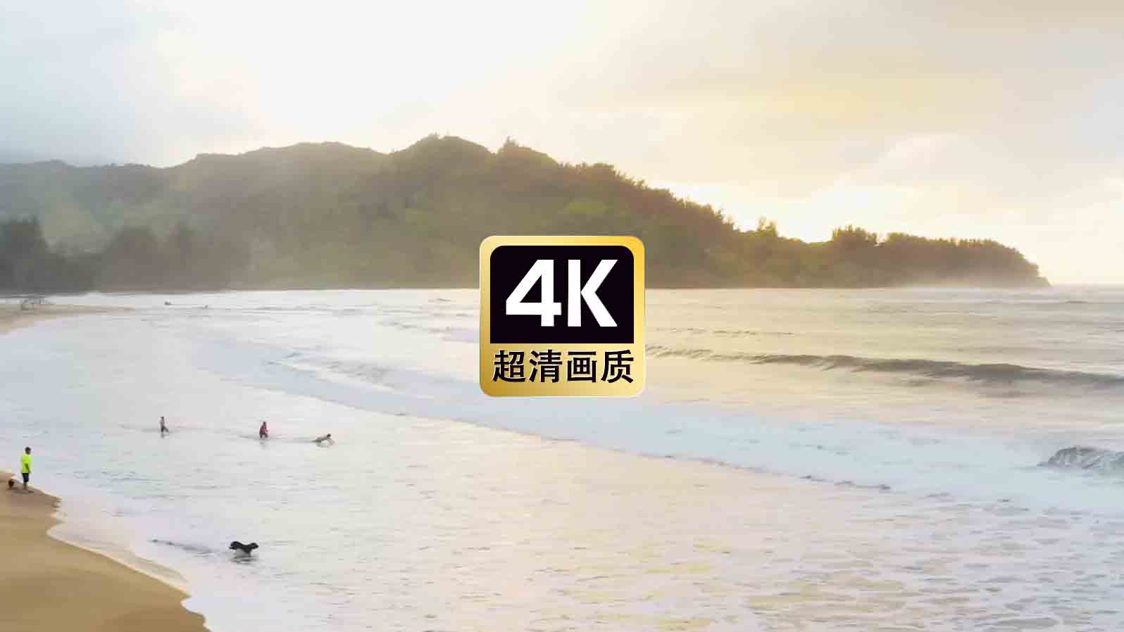 短视频素材海边遛狗玩耍的人