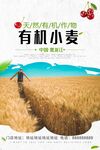 小麦
