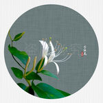 金银花