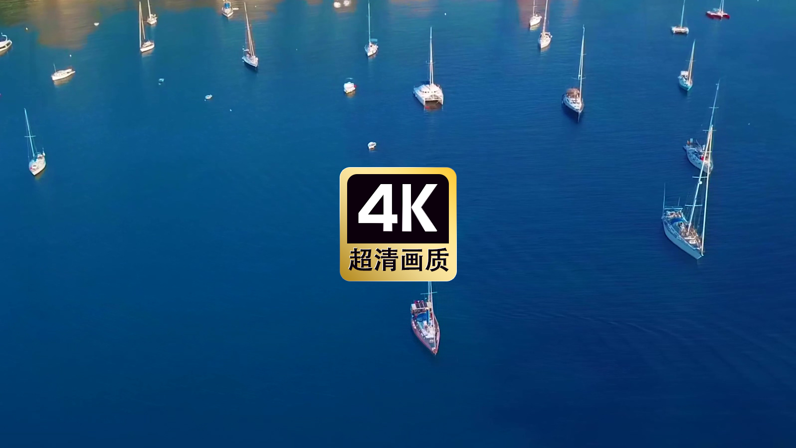 短视频素材航拍海港内停泊的游艇