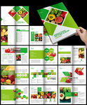 绿色食品蔬菜有机水果画册