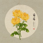 手绘菊花
