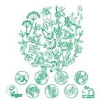 草本植物