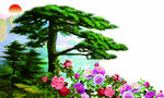 牡丹花 松树