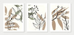 抽象植物叶子装饰画