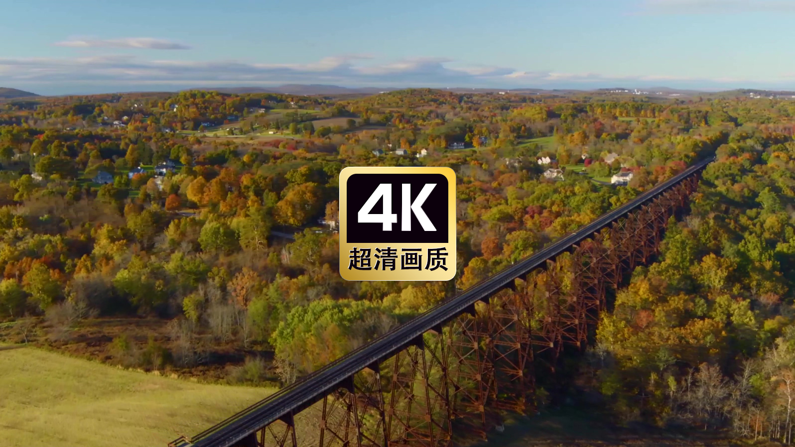 航拍丛林间的高架桥