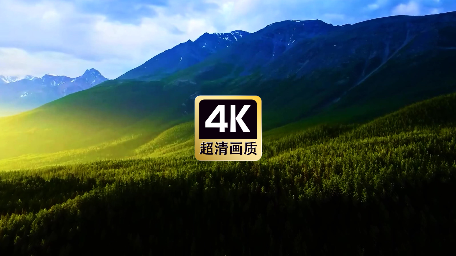 航拍远山丛林美景