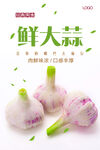 鲜大蒜海报