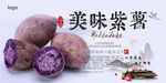 紫薯海报