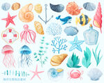 海洋生物