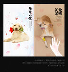 关爱宠物