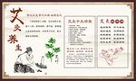 艾针灸养生