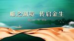 唯之湖境传启金生背景