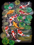 锦鲤