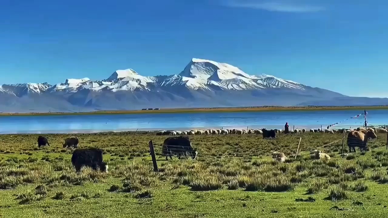 风景 雪山 湖泊