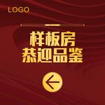 大导视