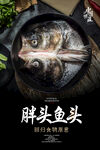胖头鱼头海报