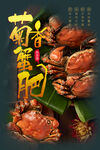 大闸蟹海报