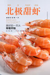 北极甜虾海报