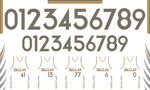 独行侠21赛季城市版球衣印花