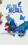 蝴蝶海报