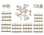 中药矢量图