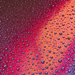落在窗户玻璃上的雨点水珠