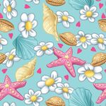 花朵贝壳海星海螺图片