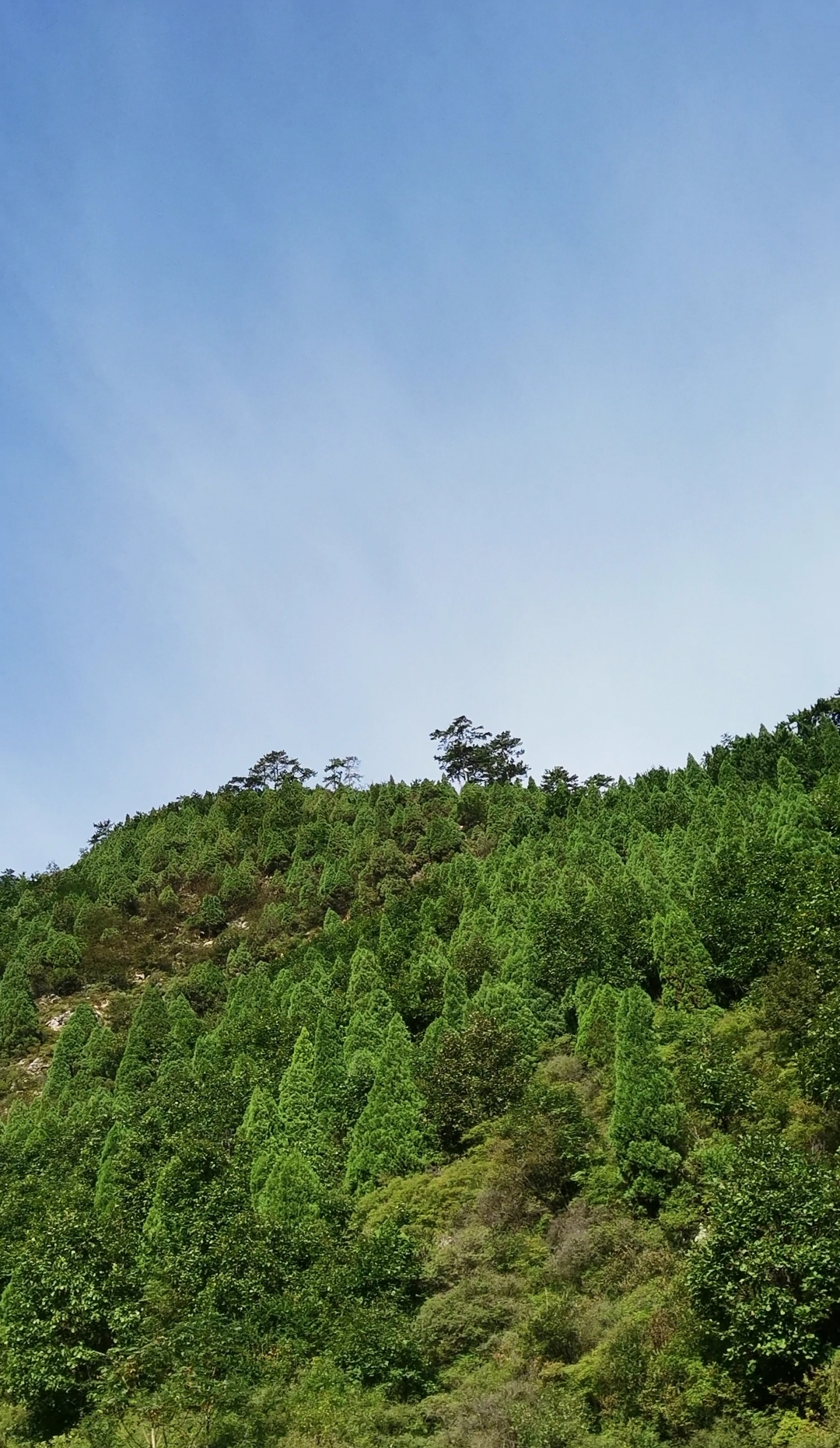 崖风景一角图片大全 崖风景一角设计素材 崖风景一角模板下载 崖风景一角图库 昵图网soso Nipic Com