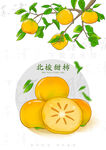 北梭甜柿