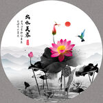 荷花