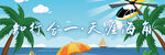 椰子树海报