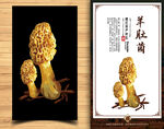 羊肚菌