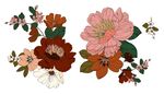 北欧热带风手绘花卉分层素材