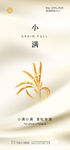 简约中国风小麦节气麦穗海报
