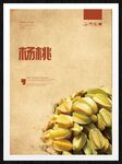 杨桃