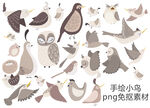 手绘小鸟