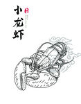 手绘小龙虾