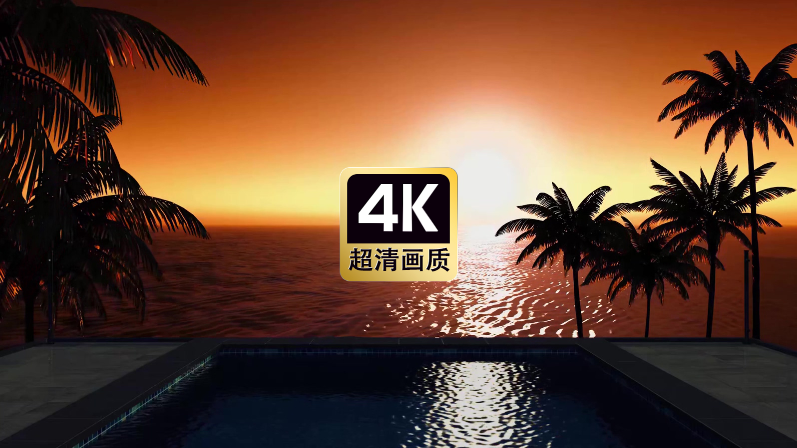 唯美夕阳椰树海面美景