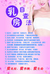 美容    保养   乳房