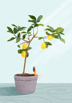 柠檬树与女孩肌理插画