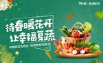 蔬菜活动
