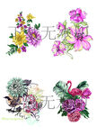 手绘花朵